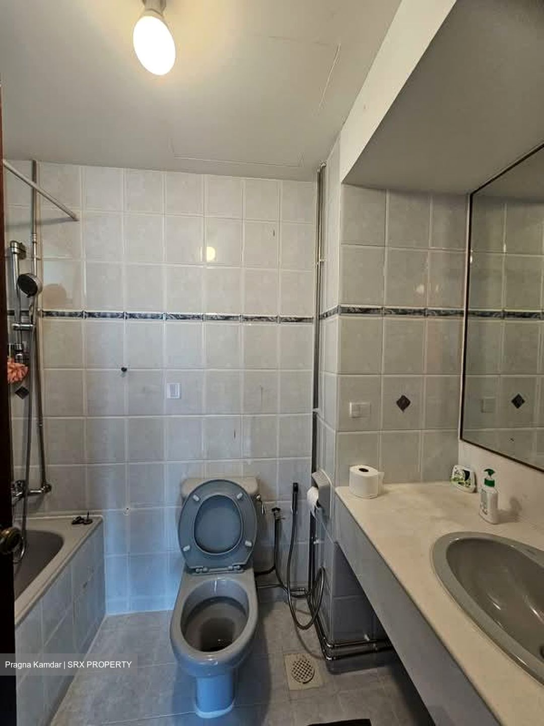 Parkshore (D15), Condominium #545728231